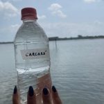 Amostra coletada na Lagoa de Carcará em agosto de 2024. Foto: Arquivo do projeto