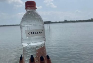 Amostra coletada na Lagoa de Carcará em agosto de 2024. Foto: Arquivo do projeto