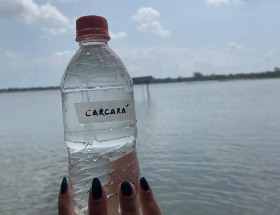 Amostra coletada na Lagoa de Carcará em agosto de 2024. Foto: Arquivo do projeto