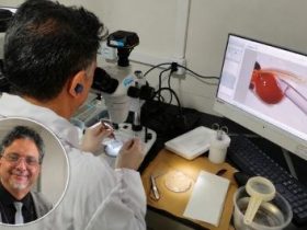 Pesquisador em laboratório durante atividade de pesquisa científica no Brasil.