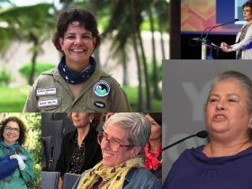 Colagem com fotos de cinco mulheres brasileiras que atuam na conservação da biodiversidade: Flávia Miranda, Maria Tereza Pádua, Yara Novelli, Patrícia Médici e Neiva Guedes.