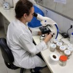 Pesquisadora observa uma amostra em um microscópio óptico em laboratório, com frascos e materiais de pesquisa sobre a bancada.