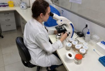 Pesquisadora observa uma amostra em um microscópio óptico em laboratório, com frascos e materiais de pesquisa sobre a bancada.