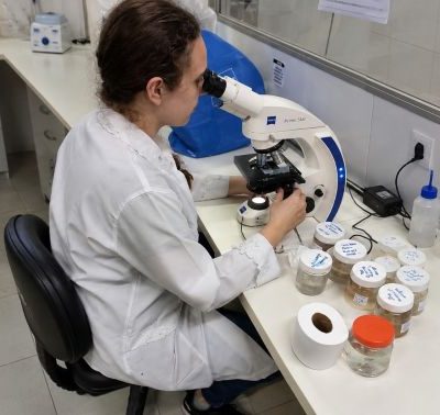 Pesquisadora observa uma amostra em um microscópio óptico em laboratório, com frascos e materiais de pesquisa sobre a bancada.