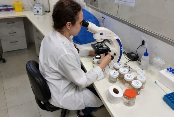 Pesquisadora observa uma amostra em um microscópio óptico em laboratório, com frascos e materiais de pesquisa sobre a bancada.