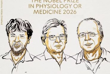 Cientistas responsáveis pelo desenvolvimento da optogenética, técnica que usa a luz para controlar células nervosas.
