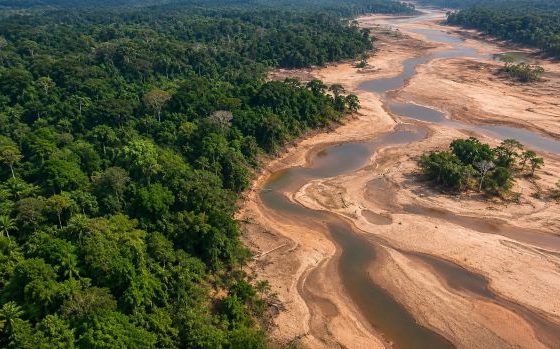 Vista aérea de floresta densa ao lado de um rio com leito exposto, bancos de areia e trechos de água reduzidos.